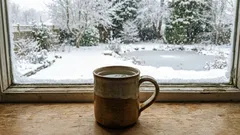 Wir stellen einen Becher mit Wasser auf die Fensterbank: Warum, wer weiß?